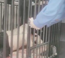 【千梦】我哥偷我袜子被逮住【下】 bf6530
