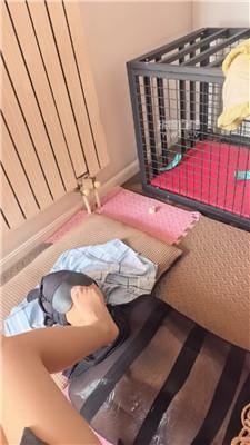 【妃妃】捆绑木乃伊窒息 JS260502-1
