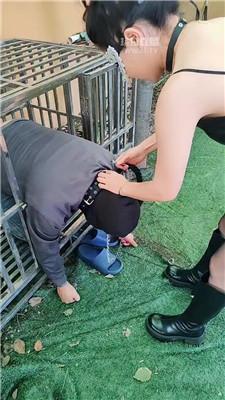 【南兮女S】圈养犬化实录场 JS260715-19
